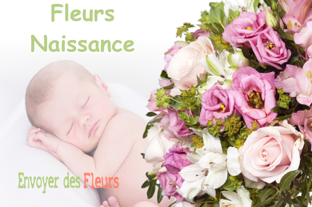 lIVRAISON FLEURS NAISSANCE à SARRECAVE